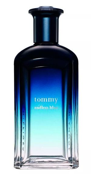 Perfume Tommy Endless Blue 100ml - imagem 1
