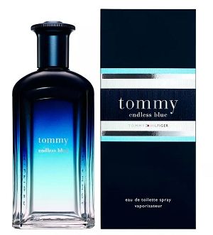 Perfume Tommy Endless Blue 100ml - imagem 2